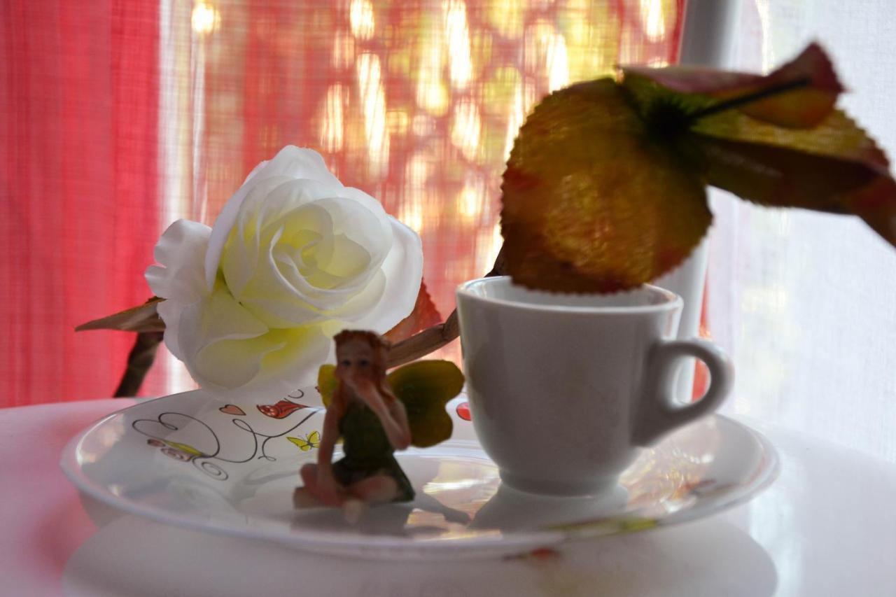 テルニ Fable Bed & Breakfast エクステリア 写真
